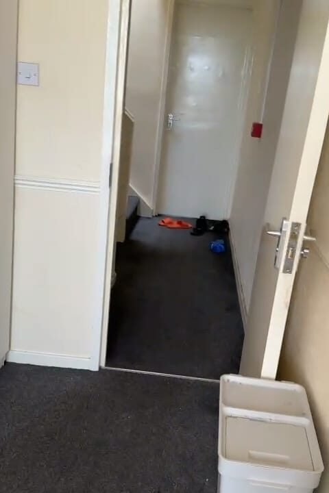 WhatsApp Image 2024-08-19 at 9.04.43 PM