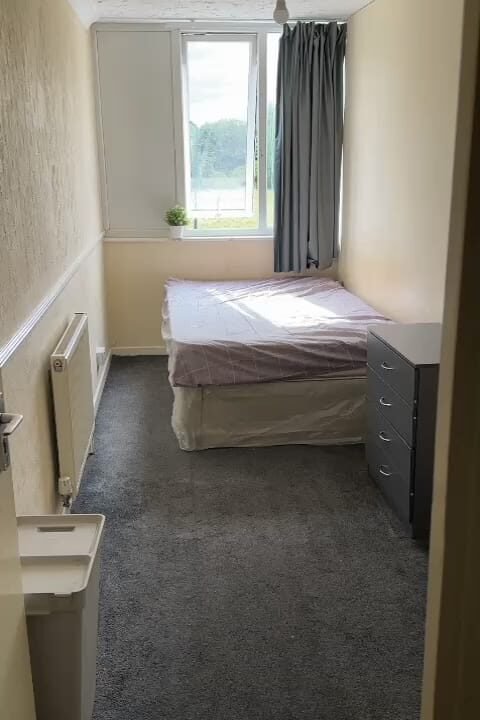 WhatsApp Image 2024-08-19 at 9.04.44 PM