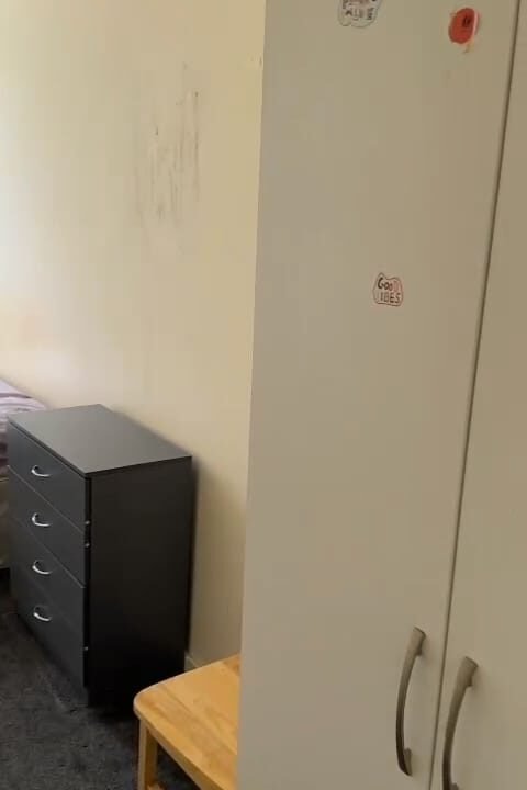 WhatsApp Image 2024-08-19 at 9.04.45 PM