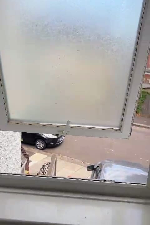 WhatsApp Image 2024-09-07 at 3.07.27 PM (1)