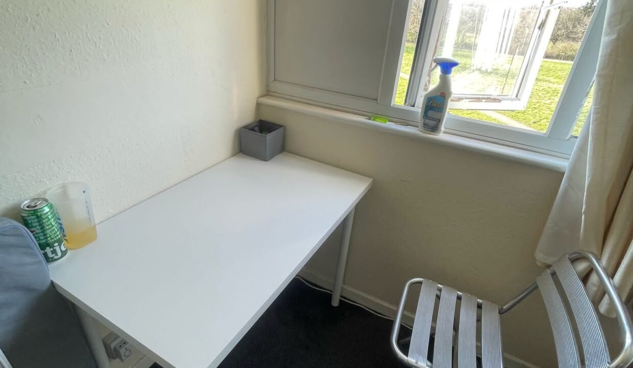 WhatsApp Image 2025-03-05 at 13.56.29_034602c3